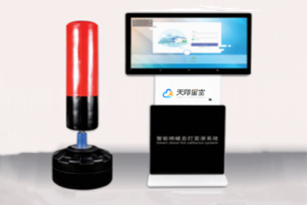 智能打击宣泄系统